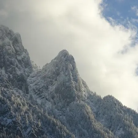 Hoamatl Privat bolig Ebbs